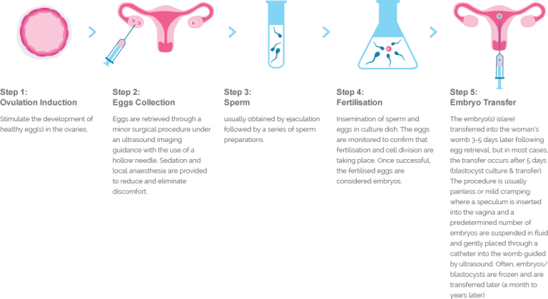 In Vitro Fertilisation Ivf Alpha Ivf And Womens Specialists 3291