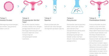 Fertilisasi In-Vitro (IVF) - Alpha IVF Fertility Center Malaysia